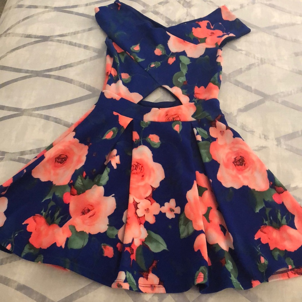 Windsor Vibrant Dress
